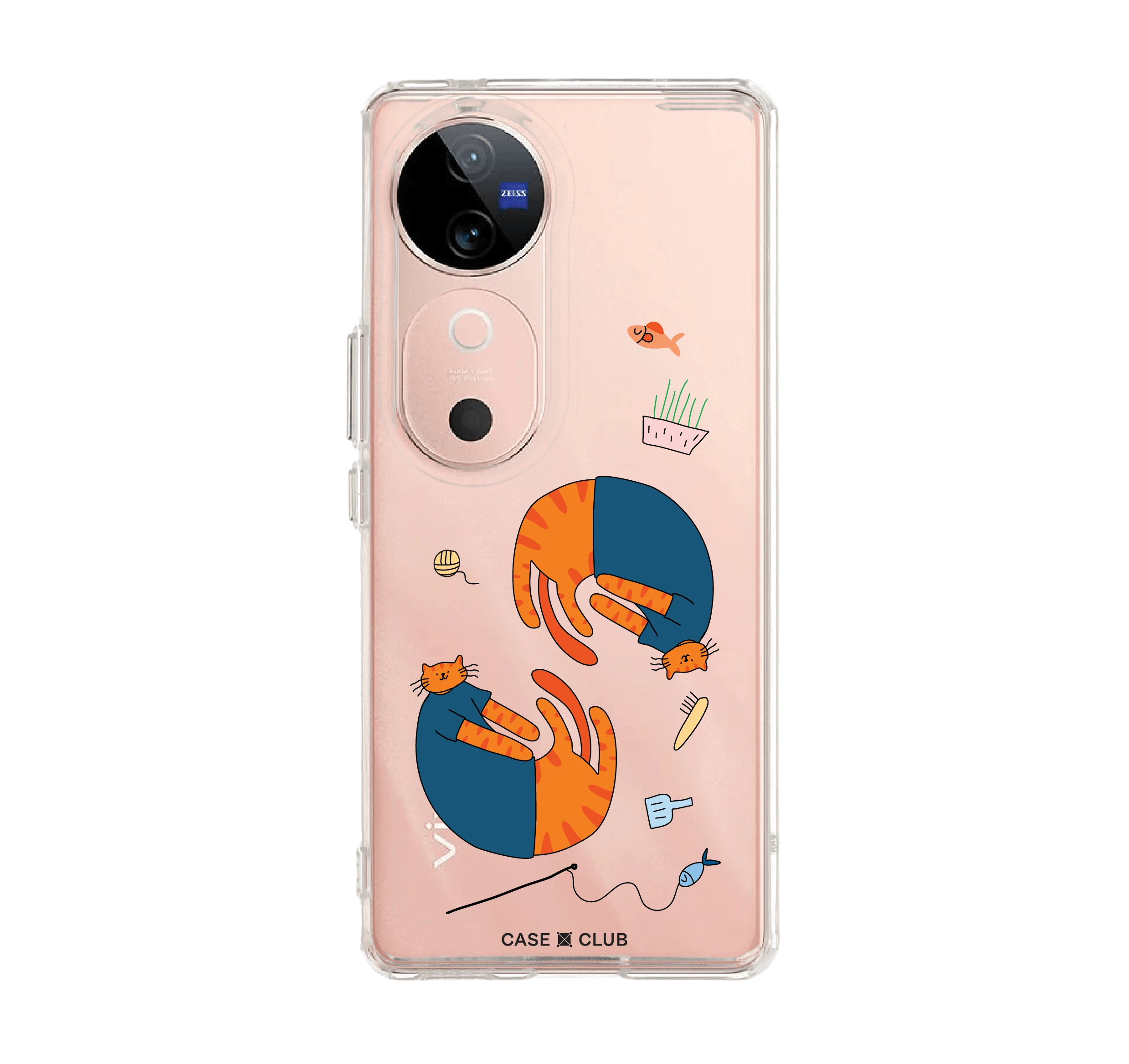 แมวส้มน้ำเงินอินฟินิตี้